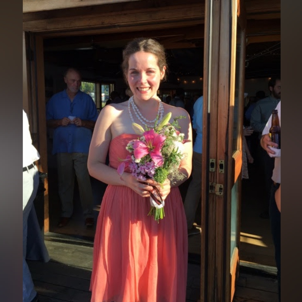 JCrew Mirabelle Dress